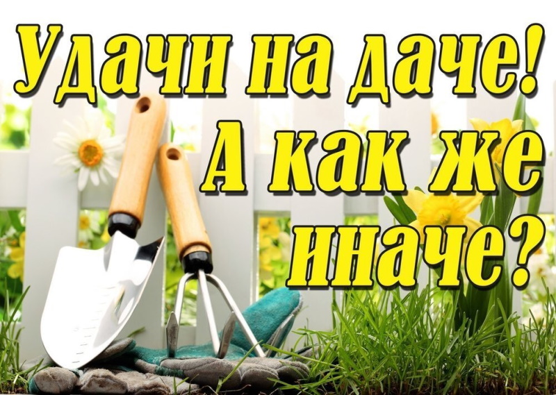 Удачи на даче